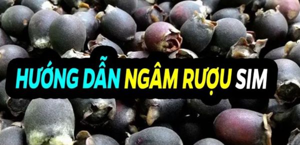 Mách bạn cách ngâm rượu sim uống cực ngon và bổ dưỡng