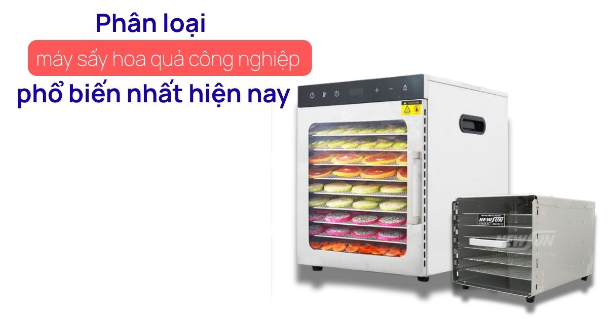 Phân Loại Máy Sấy Hoa Quả Công Nghiệp: Các Dòng Máy Hiện Có và Cách Xác Định Loại Phù Hợp