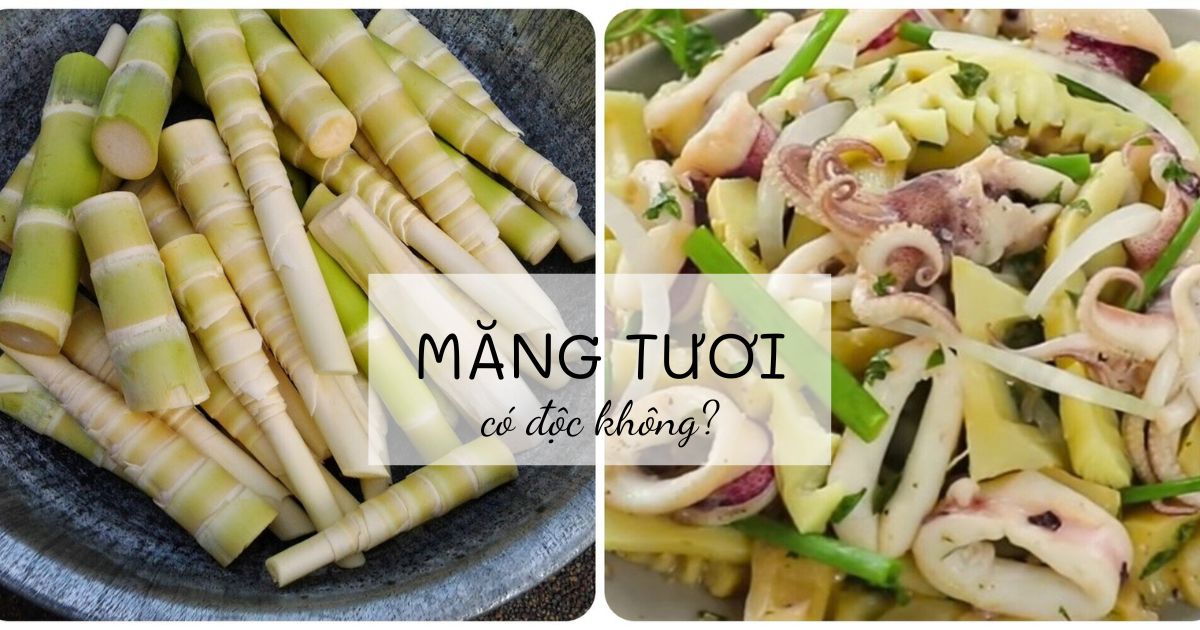 Ăn măng có độc không? 5 cách khử độc măng tươi hiệu quả