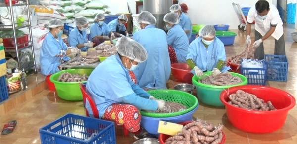 Mở xưởng sản xuất lạp xưởng, cần chuẩn bị những gì? 