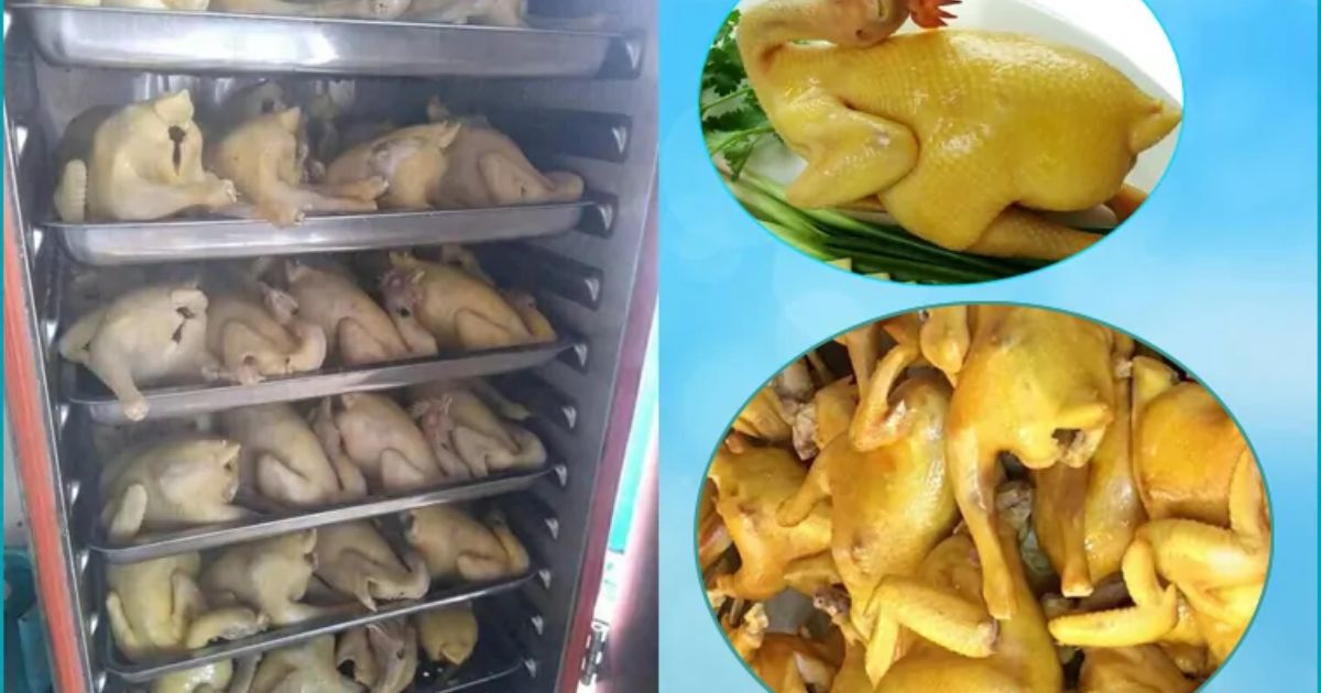 Cách hấp gà bằng tủ nấu cơm ngon và đạt chất lượng