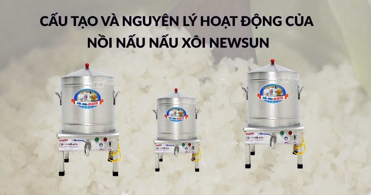 Cấu tạo và nguyên lý hoạt động của nồi nấu nấu xôi NEWSUN
