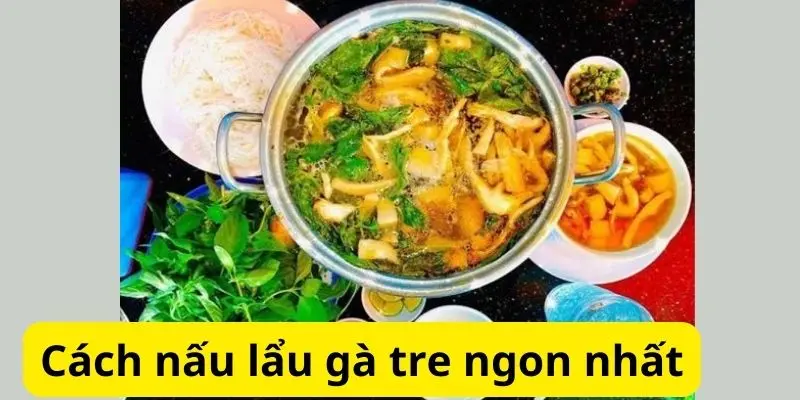 Cách nấu lẩu gà tre ngon nhất