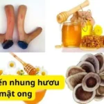 Cách chế biến nhung hươu hấp mật ong