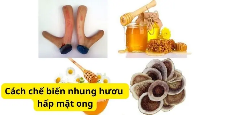 Cách chế biến nhung hươu hấp mật ong