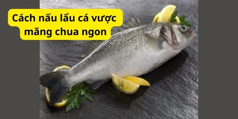 Cách nấu lẩu cá vược măng chua ngon