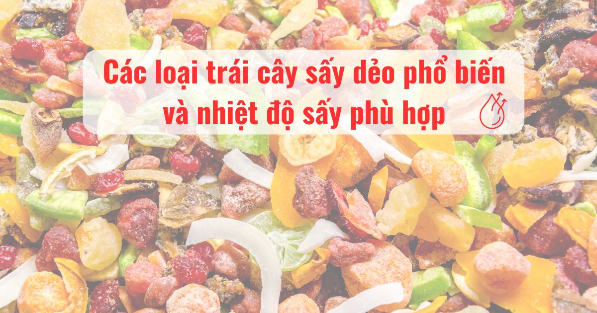 Top 10 các loại trái cây sấy dẻo nên kinh doanh