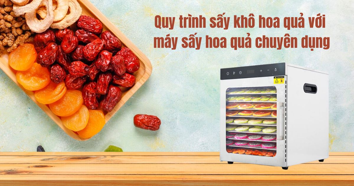 Hướng dẫn sử dụng máy sấy hoa quả Newsun hiệu quả