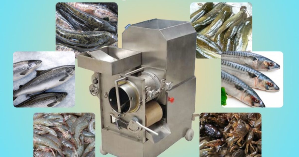Địa chỉ mua máy tách xương cá chính hãng ở 3 thành phố lớn