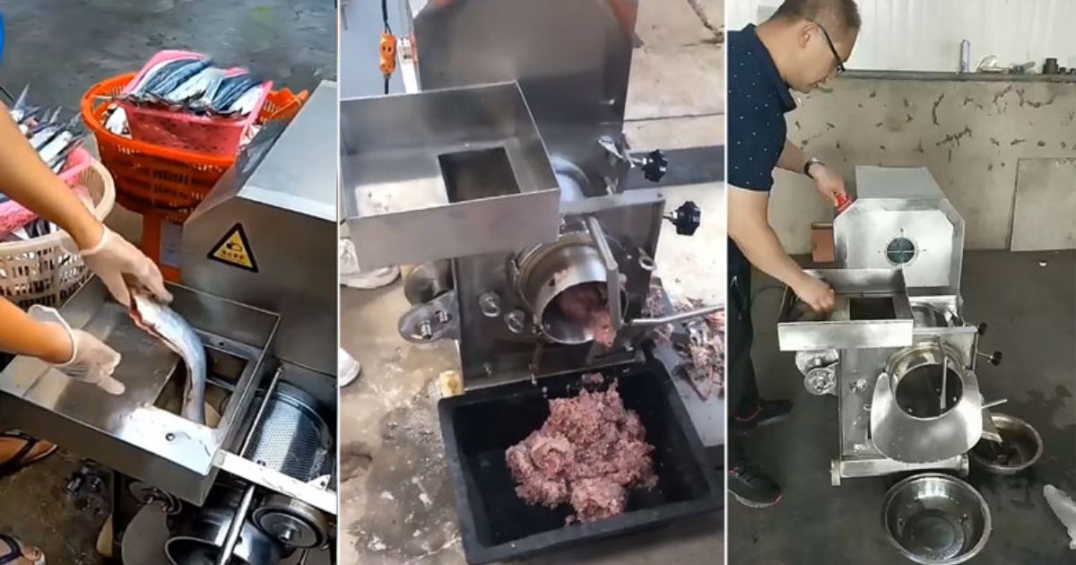 8 lợi ích của máy tách xương cá có thể bạn chưa biết