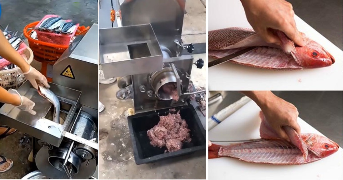So sánh máy tách xương cá công nghiệp và tách xương cá truyền thống
