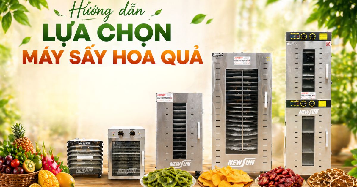 Hướng dẫn lựa chọn máy sấy hoa quả bạn đúng cách
