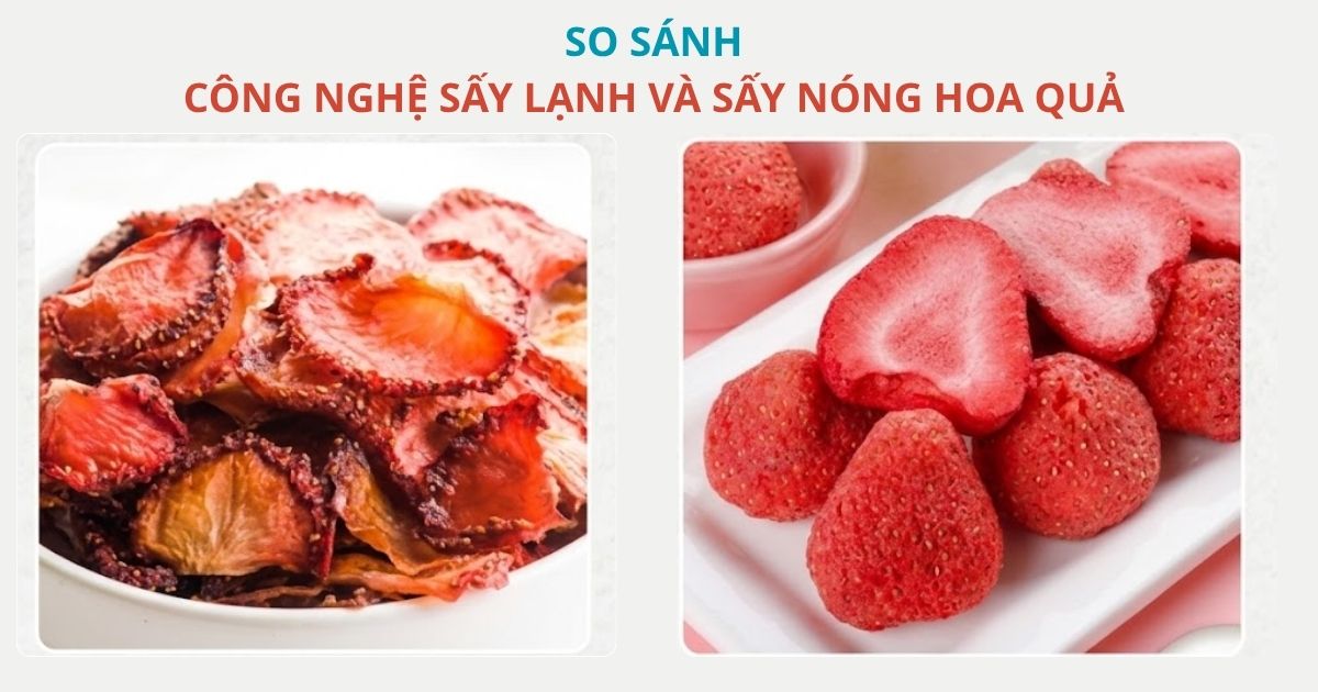 So sánh công nghệ sấy lạnh và sấy nóng hoa quả