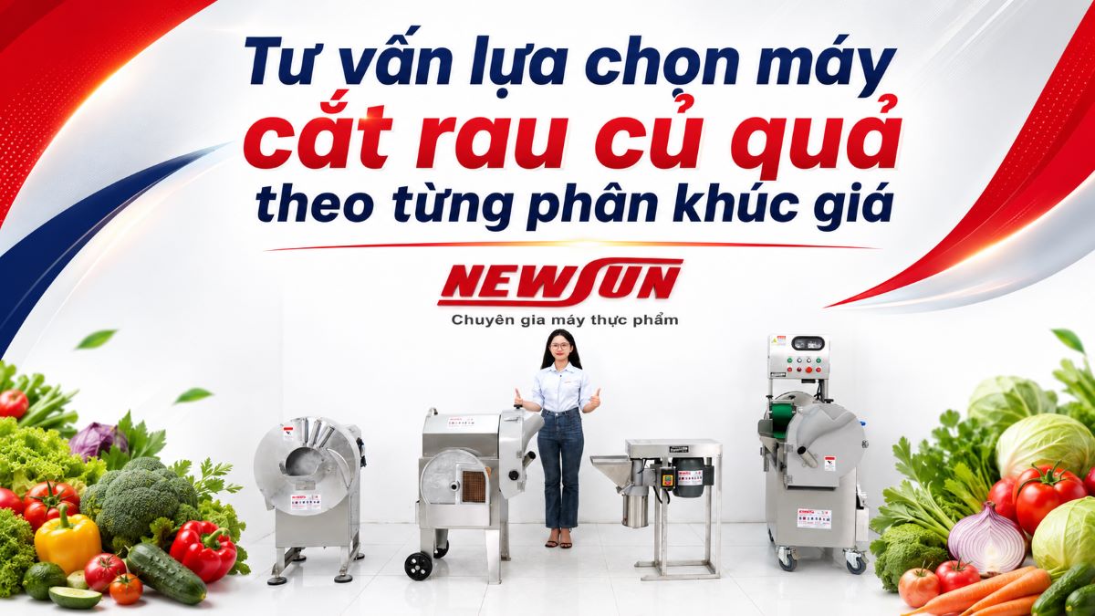 Tư vấn lựa chọn máy cắt rau củ quả theo từng phân khúc giá
